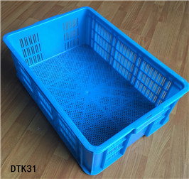 DTK31