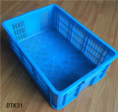 DTK31